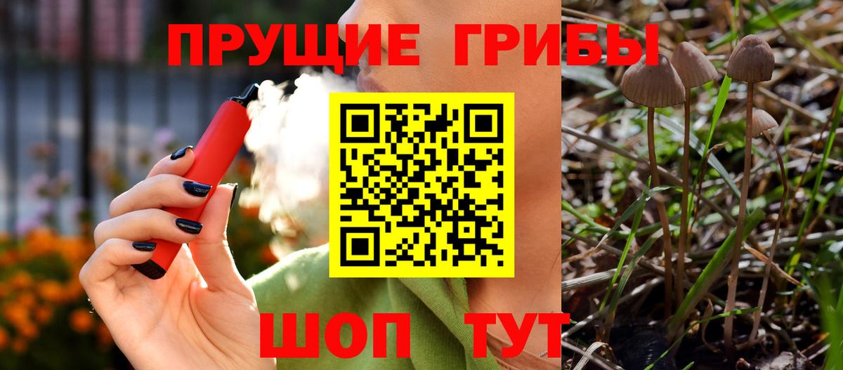 Псилоцибиновые грибы Psilocybe  Вход с VPN  Рязань  Псилоцибиновые грибы Magic Shrooms 