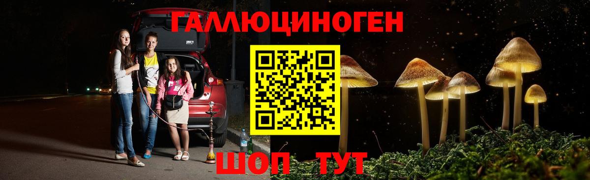Бошки Шишки Рязань